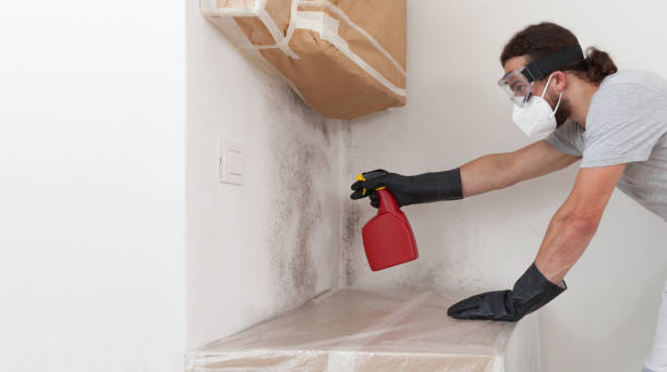 Professional Black Mold Remediation technician working in Lowell, OR