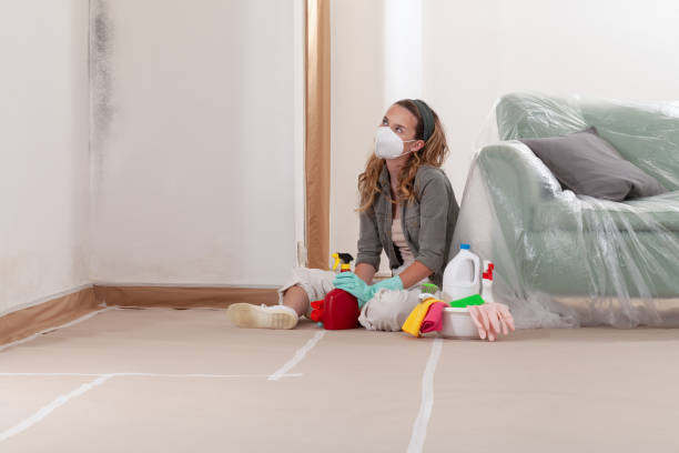 Reliable Black Mold Remediation contractor in Lowell, OR by Car Mold Remediation